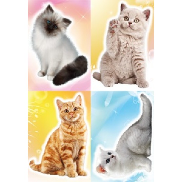 Наклейка "Sticker -boom  кошки" (35х50 см), (вырезанная), наружная полноцветная лист
