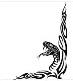 Наклейка "Змея" наружная/внутренняя, (цвет черный), (комплект на две стороны), (39х32см)