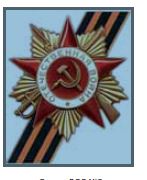 Наклейка "Орден ВОВ" полноцветная (35х96см)