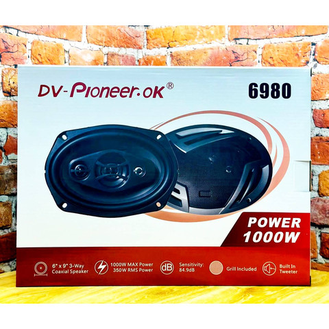 А/кол. Dv-Pioneer.Ok 6980 овалы 6/9 1000w