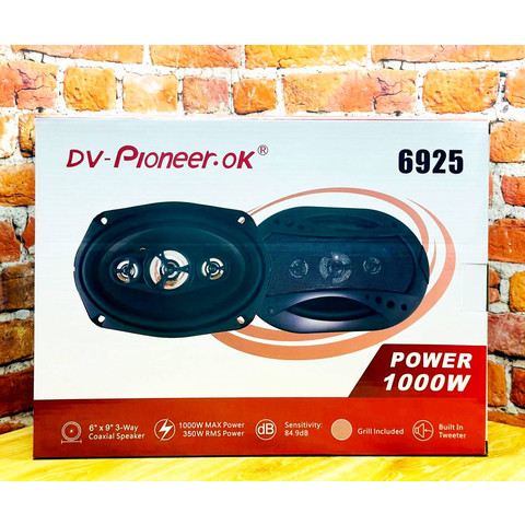 А/кол. Dv-Pioneer.Ok 6925 овалы 6/9 1000w