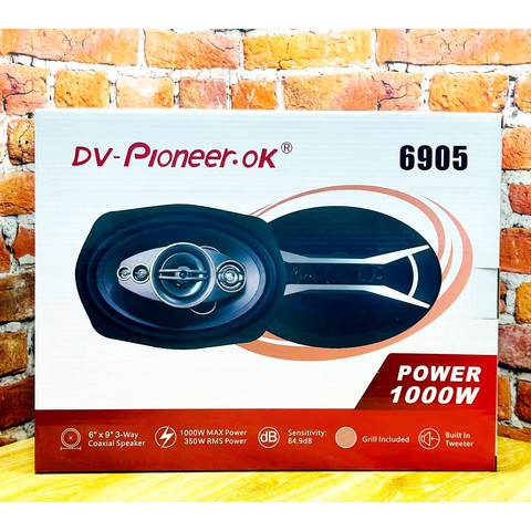 А/кол. Dv-Pioneer.Ok 6905 овалы 6/9 1000w